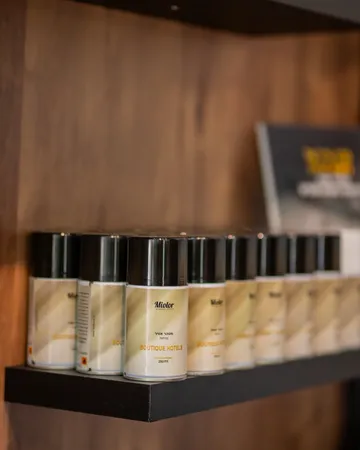 מטהר אויר 250ml